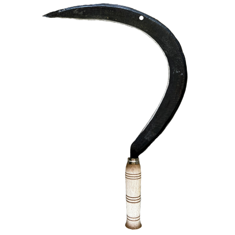 Falce Cogliasparagi Forgiata - Con Manico In Legno 65cm, Made In Italy - Foto 2