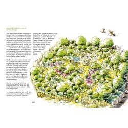 Créer une mini forêt-jardin