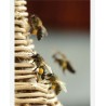 Ruches de biodiversité - Manuel pratique au service des abeilles