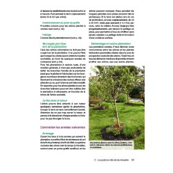 Petits arbres fruitiers (presque) sans entretien: Faciles à tailler, productifs, résistants