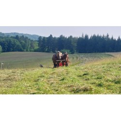 Custom Animal Traction Mower Front Unit – Busatis/ESM Bar 1.65 m, Made in Aveyron
