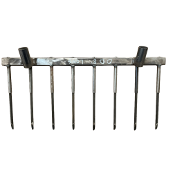 copy of Die langzahnige...