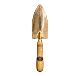 copy of Trapiantatore Castor