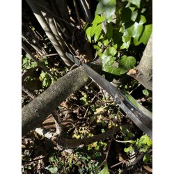 copy of Bigboy 360-10 pruning saw