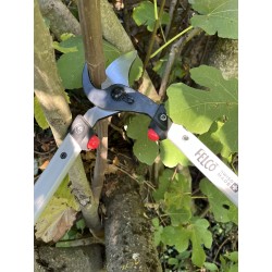 copy of Pruner Felco 2 - 215 mm