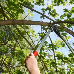 copy of Pruner Felco 2 - 215 mm