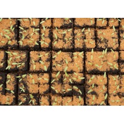 copy of Presse-mottes manuel Spidmot 16 - Motteuse sur table