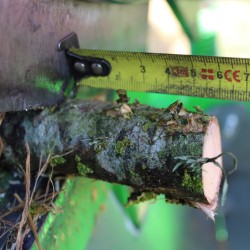 copy of Le K-tchak - Manual Shredder