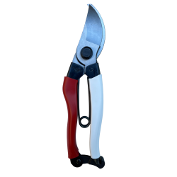 copy of Okatsune Abeto 307...