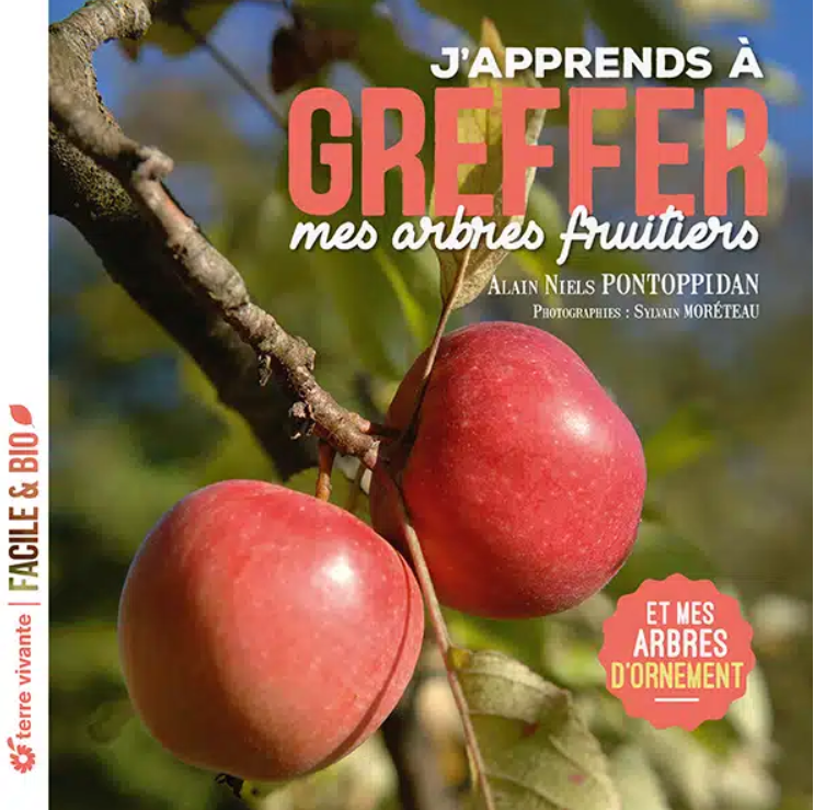 I am learning how to graft my fruit trees for abundant and flavorful harvests.
