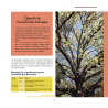 J’apprends à greffer mes arbres fruitiers – Nouvelle édition