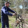 Der Holzbündler bindet 3 Holzscheite zusammen