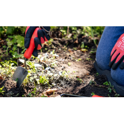 Felco 401 Handpflanzstecher – Geschmiedeter Borstahl 33 cm