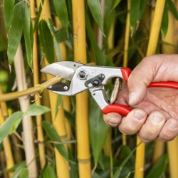 Felco 31 Amboss-Gartenschere – Große Hände, Beidhändig