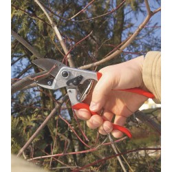 Felco 31 Anvil Pruner – Large Hands, Ambidextrous