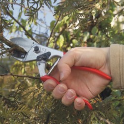 Felco 31 Amboss-Gartenschere – Große Hände, Beidhändig