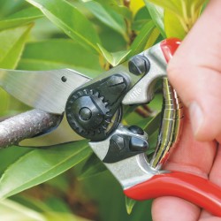Felco 6 Cesoia Bypass Compatta – Testa Inclinata, Mani Piccole e Medie