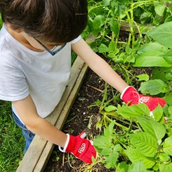 Guanti da giardinaggio bambini FELCO 720 Kids – Cuoio e Spandex