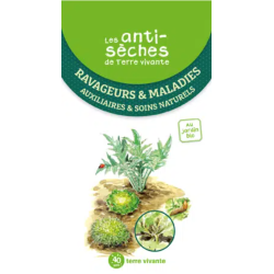 Les Antisèches de Terre...