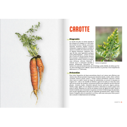 Panique au potager – Schädlinge und Krankheiten von 45 Gemüsen, Beeren und Kräutern, Jérôme Jullien (Buch auf Französisch)