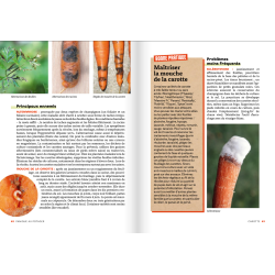 Panique au potager – Parassiti e Malattie di 45 Ortaggi, Piccoli Frutti ed Erbe, di Jérôme Jullien (libro in francese)
