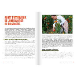 Panique au potager – Ravageurs et Maladies de 45 Légumes, Petits Fruits et Aromatiques