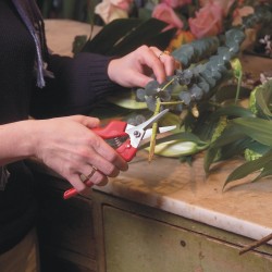 Felco 310 Grape Harvesting Snips – Slim Stainless Steel Head for Harvesting, Picking and Trimming, 10 mm Cut