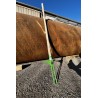 Estirpatore di Rumex – Estrazione Radici Fittonanti