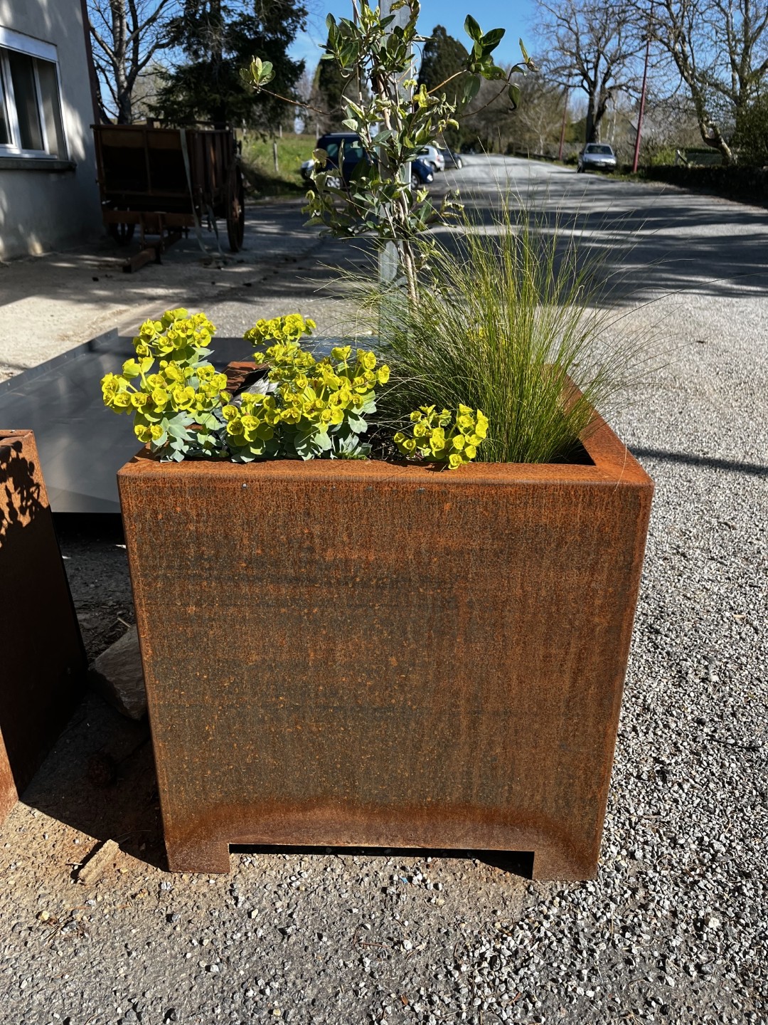 Steel Planting Containers Steel planters: customized durability and aesthetics