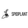 Spidplant